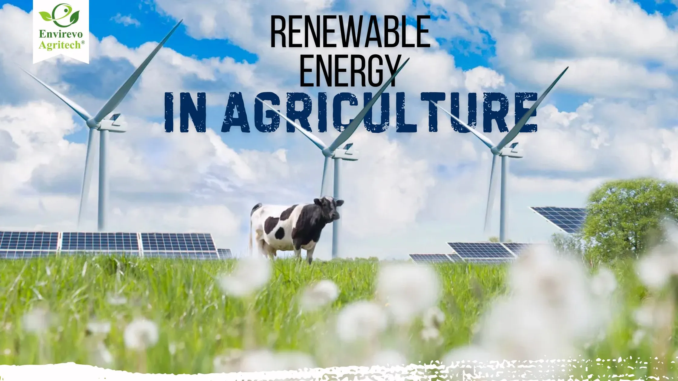 Why Every Modern Farm Needs Renewable Energy