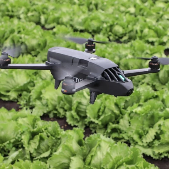Drones for Crop Scouting