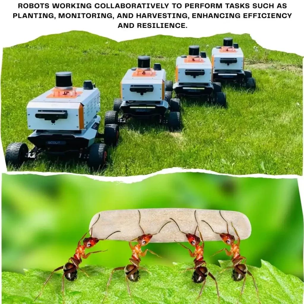Swarm Robotics in Agriculture
