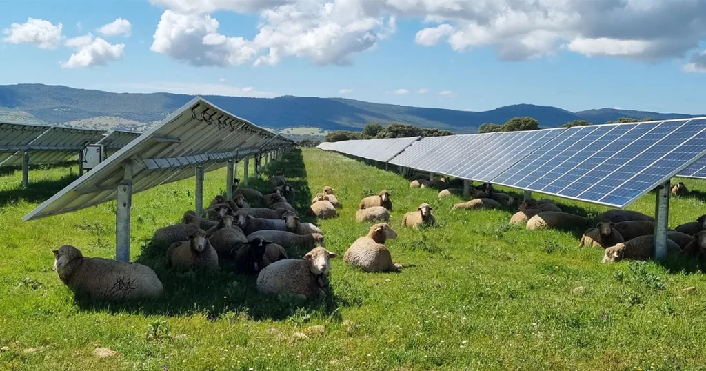 Applications of renewable energy resources in different agriculture sectors