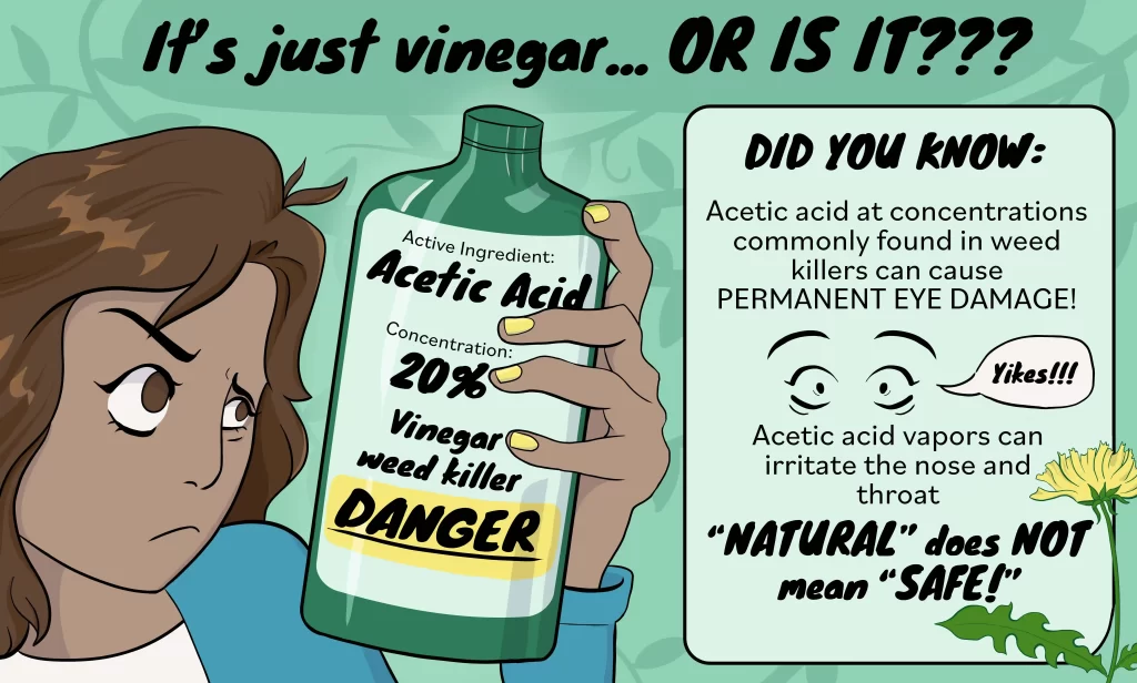 vinegar infographic 11zon
