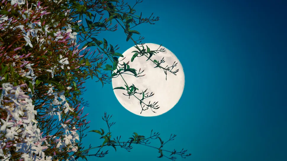 when is the next full oon