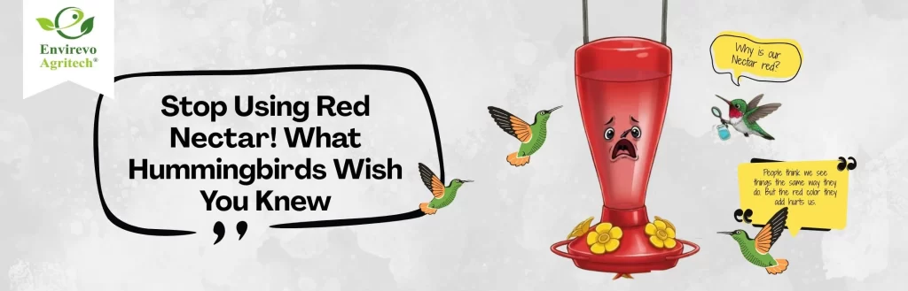 Attract Hummingbirds