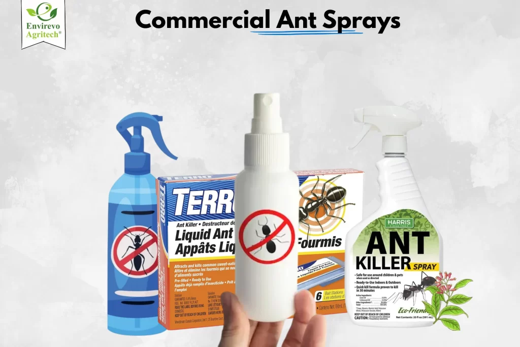 How To Get Rid Of Ant Hills