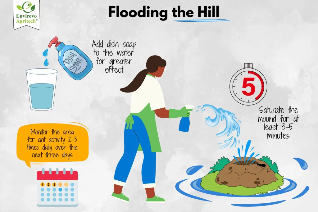 How To Get Rid Of Ant Hills In Your Yard