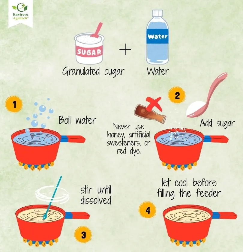 hummingbird nectar recipe