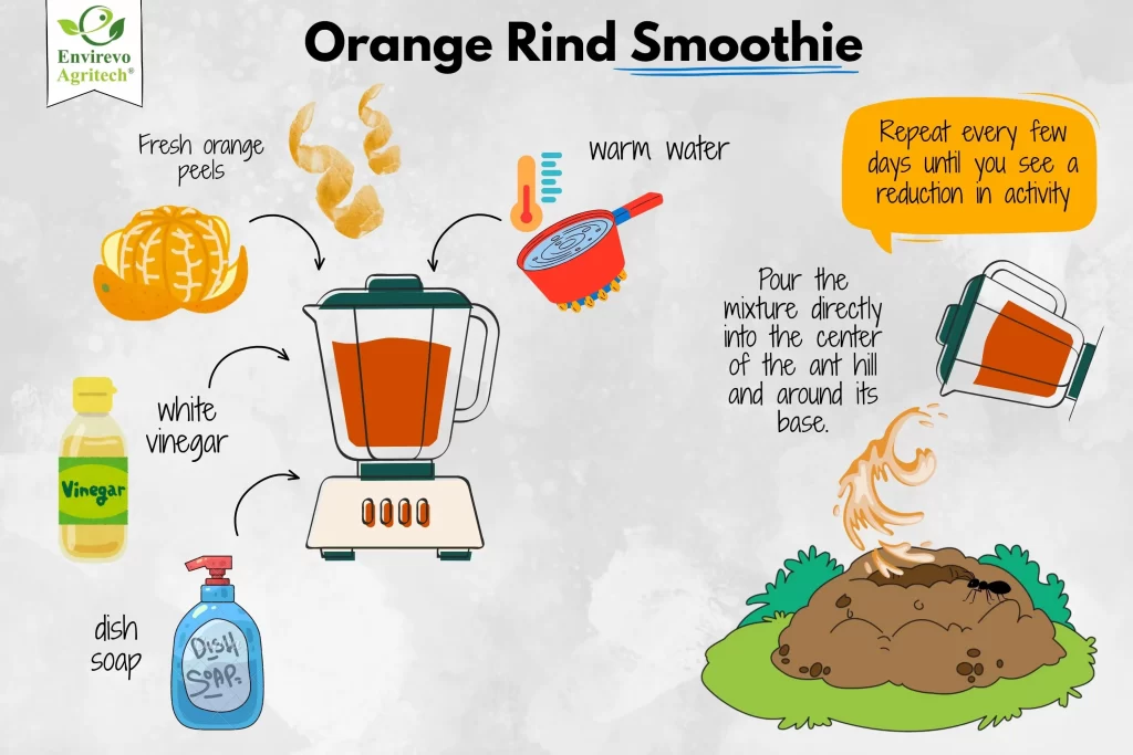 Orange Rind Smoothie