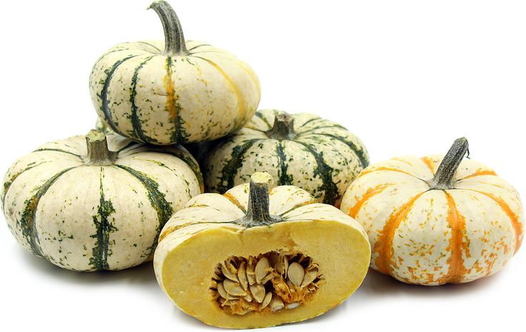 mini pumpkins

