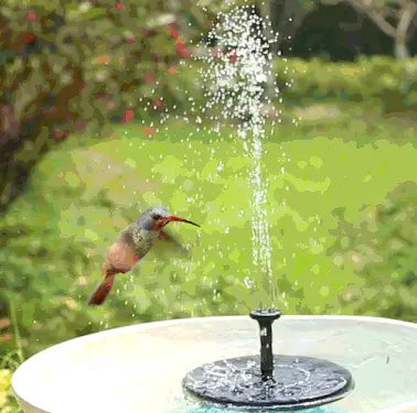 Attract Hummingbirds