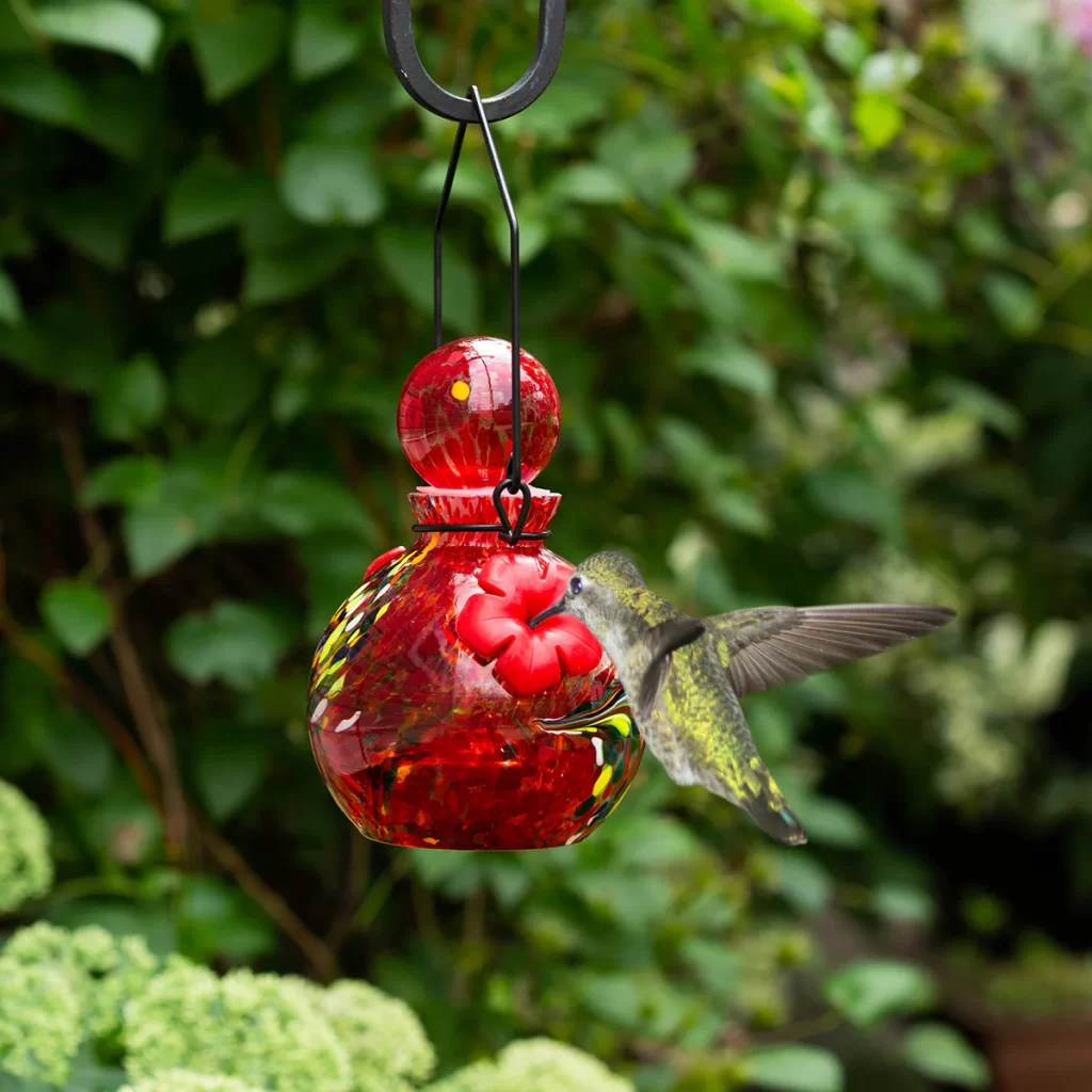  hummingbird feeder