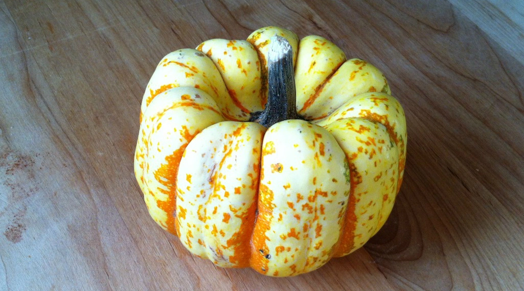 best mini pumpkin varieties

