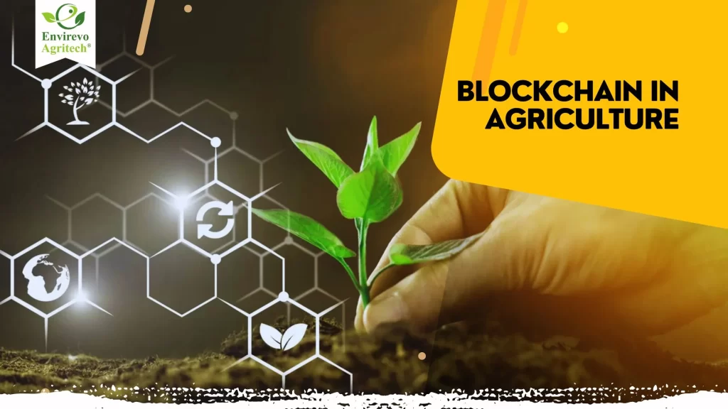 Blockchain in Agriculture: Transparency in the Food Supply Chain