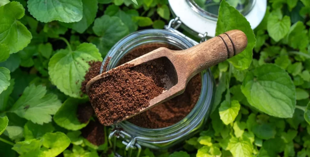 Coffee Grounds for Plants