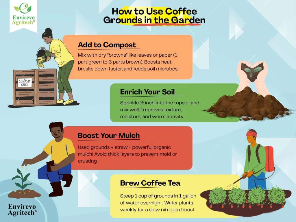 How to Use Coffee Grounds in the Garden