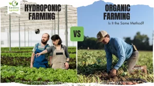 Organic Farming vs Hydroponic Farming
