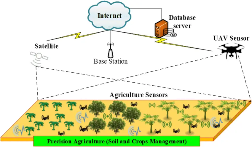 Precision Agriculture Explained: Benefits, Tools, and Applications 3 Precision Agriculture