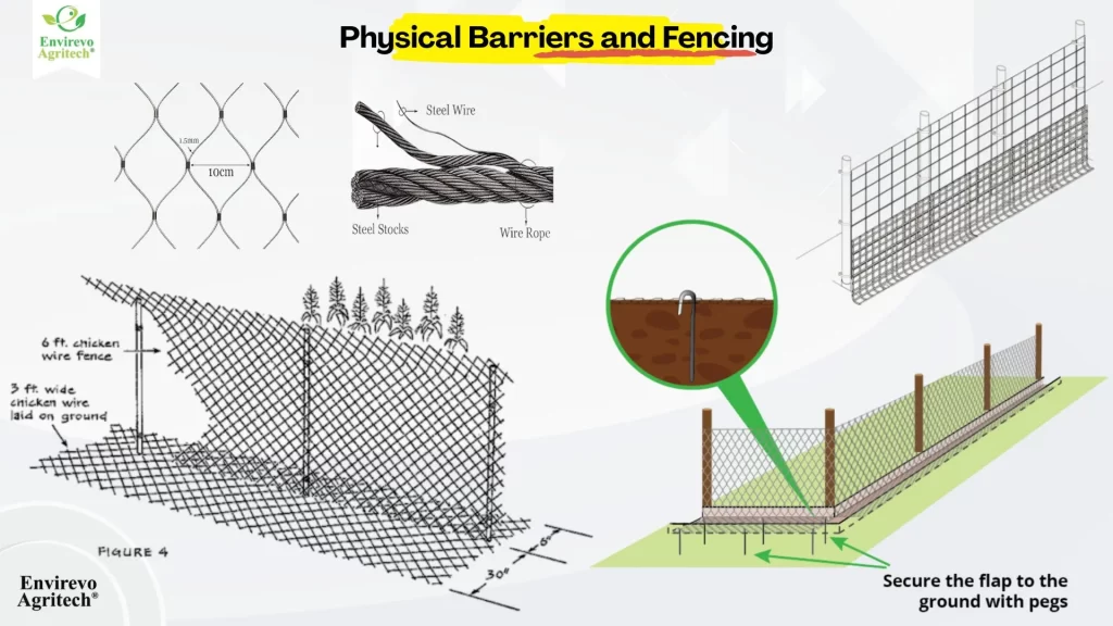 How to Deter Woodchucks from Your Garden