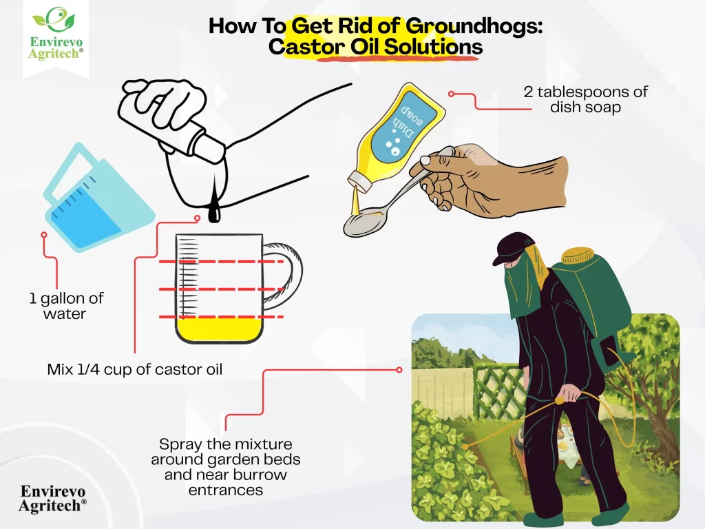 how to get rid of woodchucks