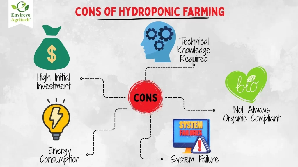 Cons of Hydroponic Farming