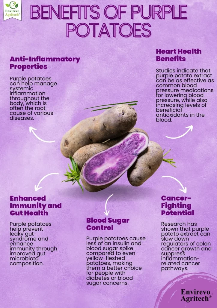 Benefits of Purple Potatoes
