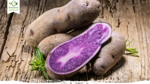 Purple Potatoes