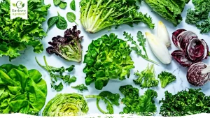 Types of Salad Greens and How to Use Them Best
