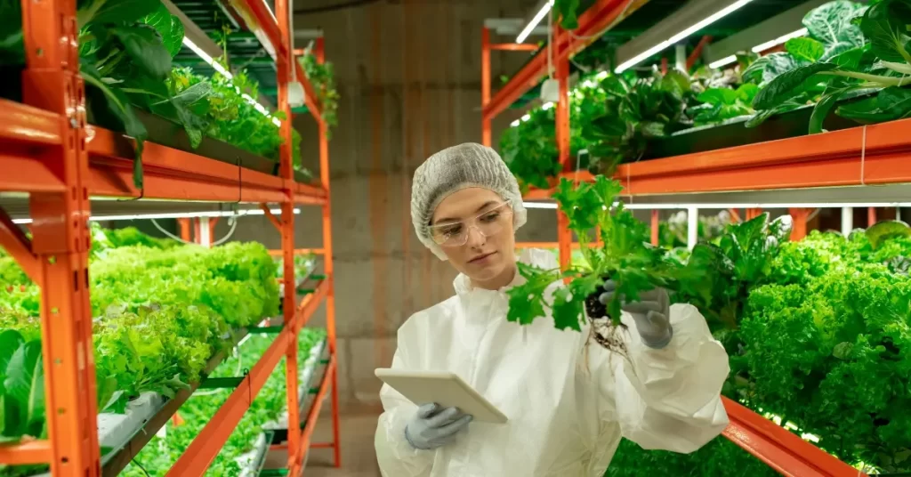 Vertical farming in the us pros and cons