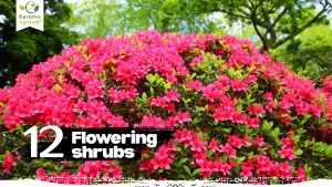 12 Stunning Flowers That Bush Out Beautifully