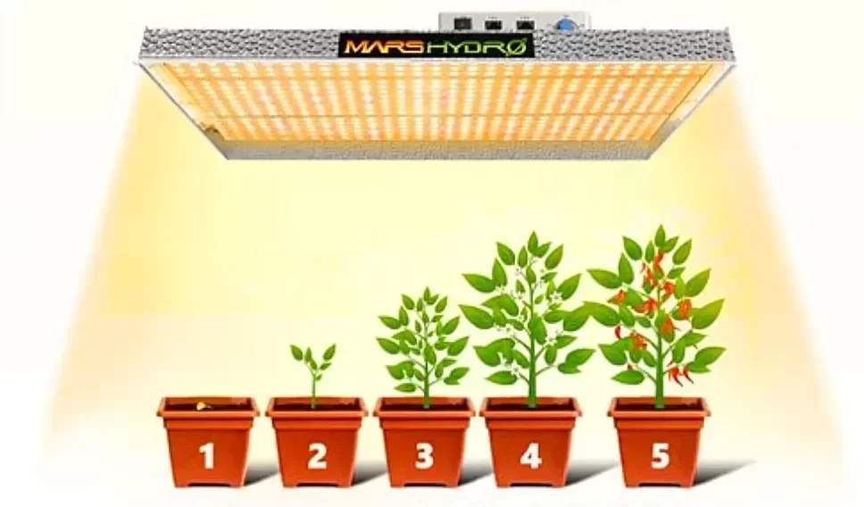 best LED grow lights for hydroponics