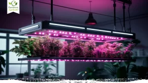 Best LED Grow Lights for Hydroponics
