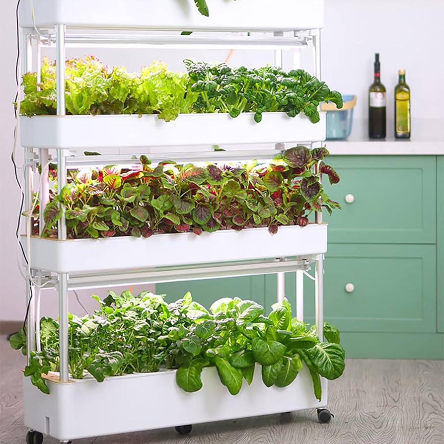 Hydroponic Kits