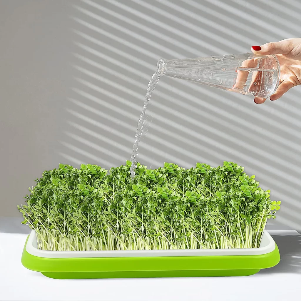 Low Maintenance Hydroponic Systems