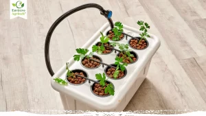 Low-Maintenance Hydroponic Systems for Beginners