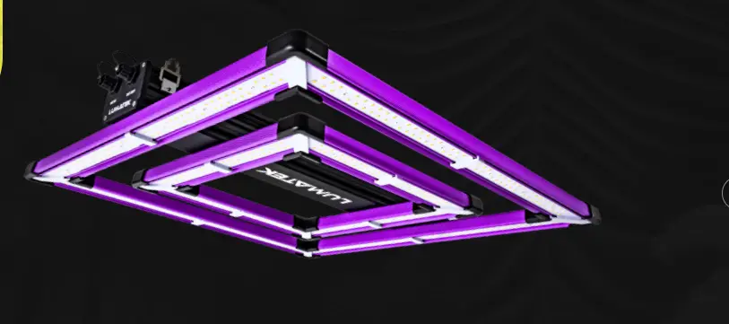 best LED grow lights for hydroponics