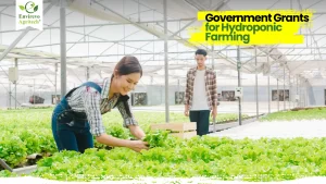Hydroponic Farm Grants