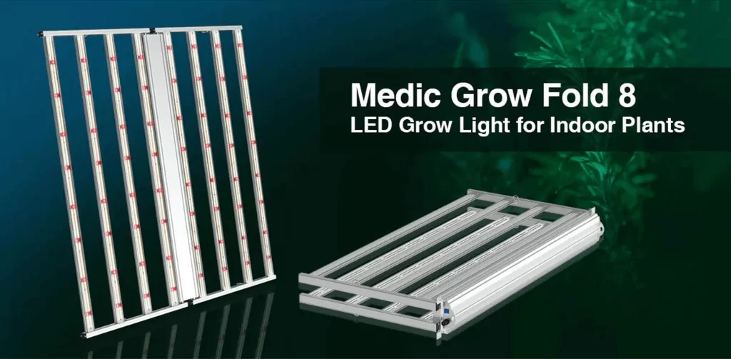 best LED grow lights for hydroponics