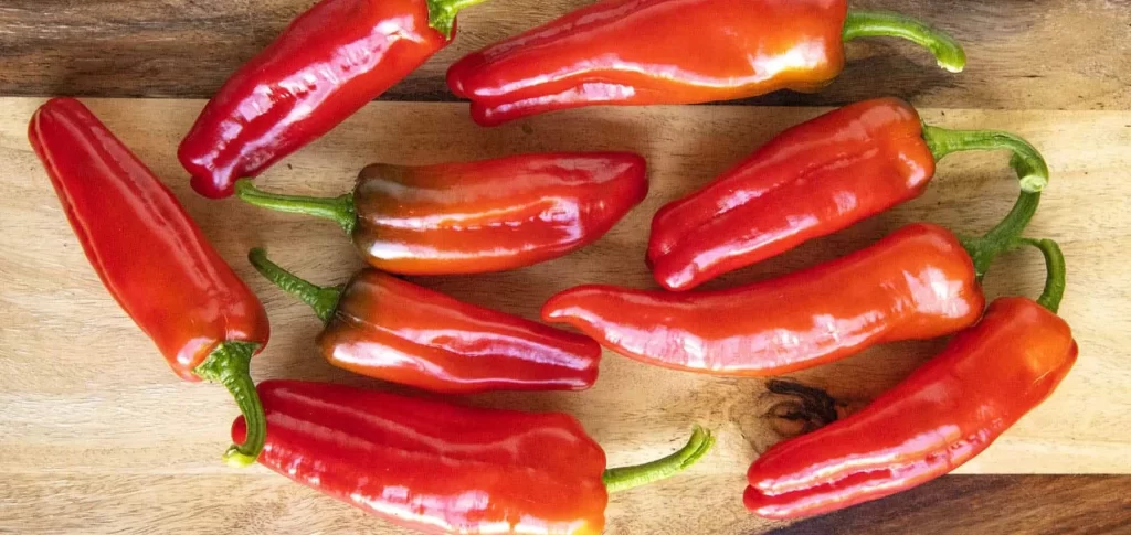 most profitable hydroponic crops