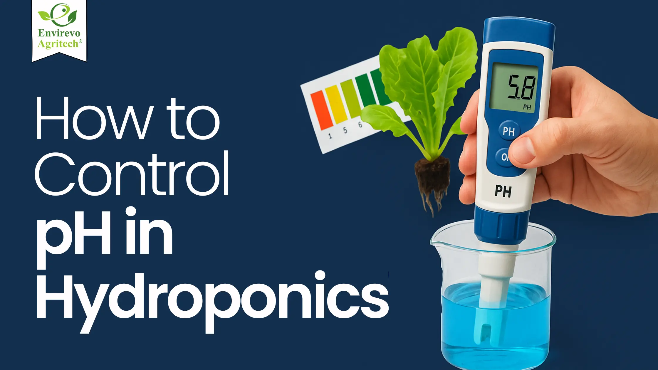 How to Control pH of Hydroponic Nutrient Solution