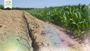 Types of subsurface irrigation
