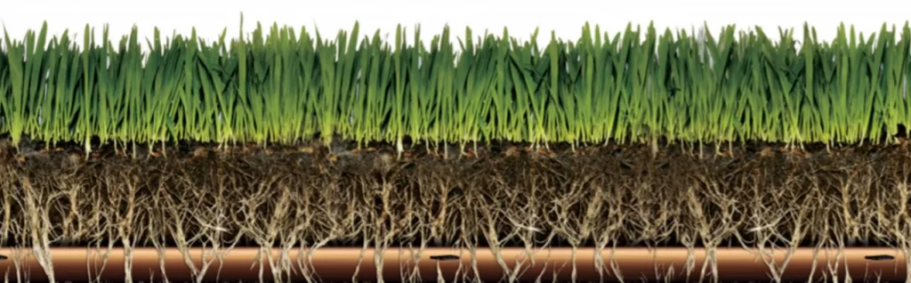 Sub-Surface Irrigation