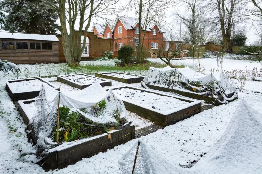 How to Winterize Your Garden
