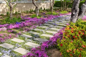 10 Best Evergreen Ground Cover Plants for a Low-Maintenance Yard