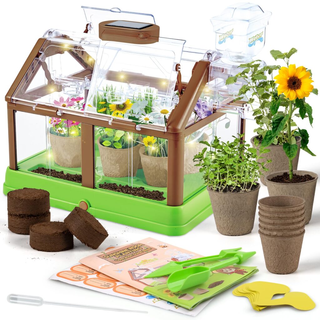 Kids' Plant Kit